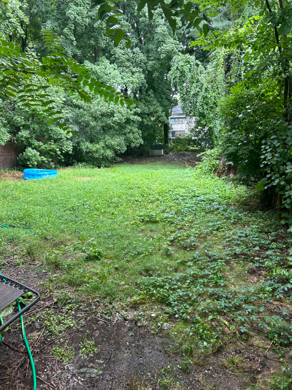 211 Norton St #1stFL - Photo 2 of 8