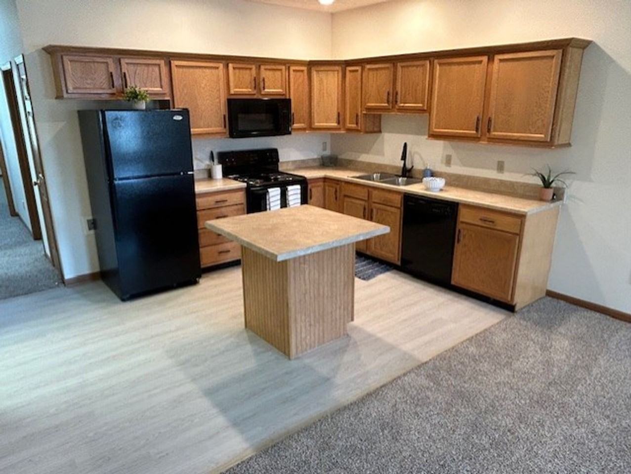 1035 Laurel Tree Ct - Photo 2 of 17