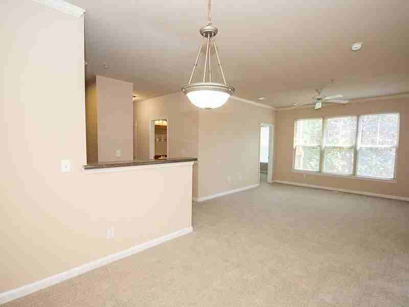 Constitution - Photo 2 of 14