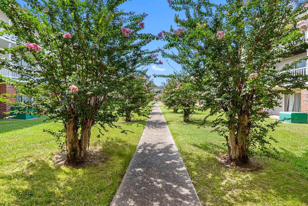 Bellemont Victoria I - Photo 4 of 50