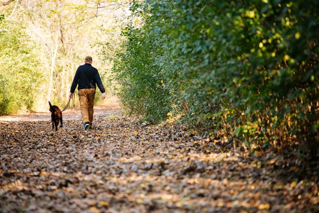 RiverHeath Evergreen - Photo 4 of 11