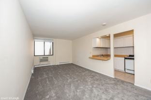 Lincoln Park Living! - Photo 1 of 1