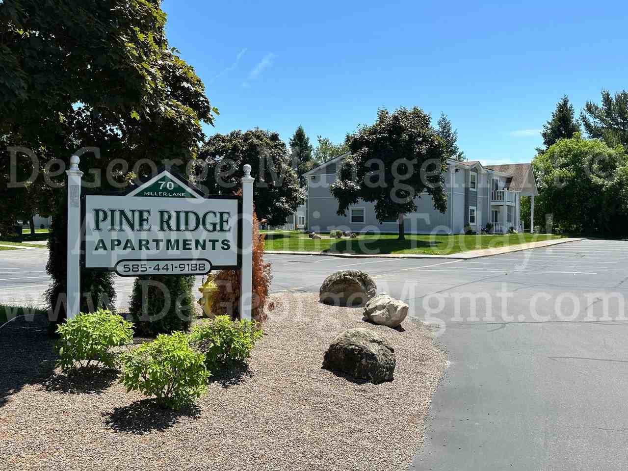 Pine Ridge Apartments - Photo 2 of 50