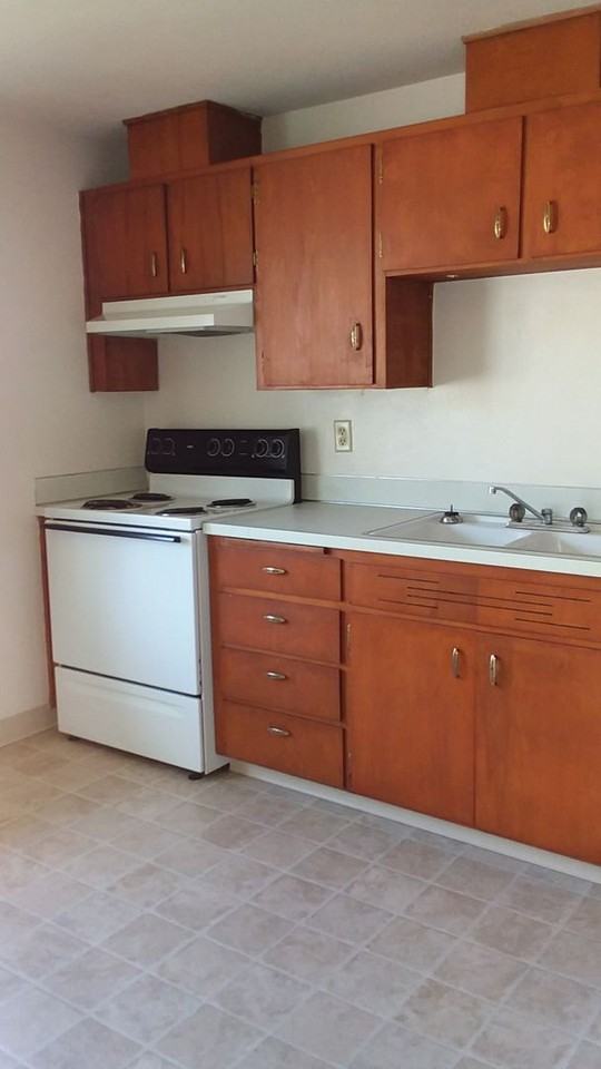 VINE03 - Photo 4 of 23