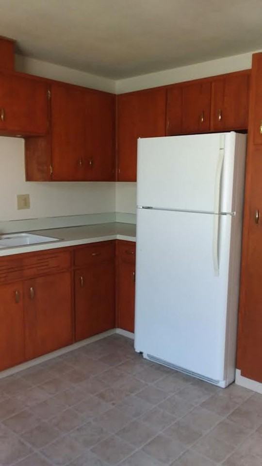 VINE03 - Photo 3 of 10