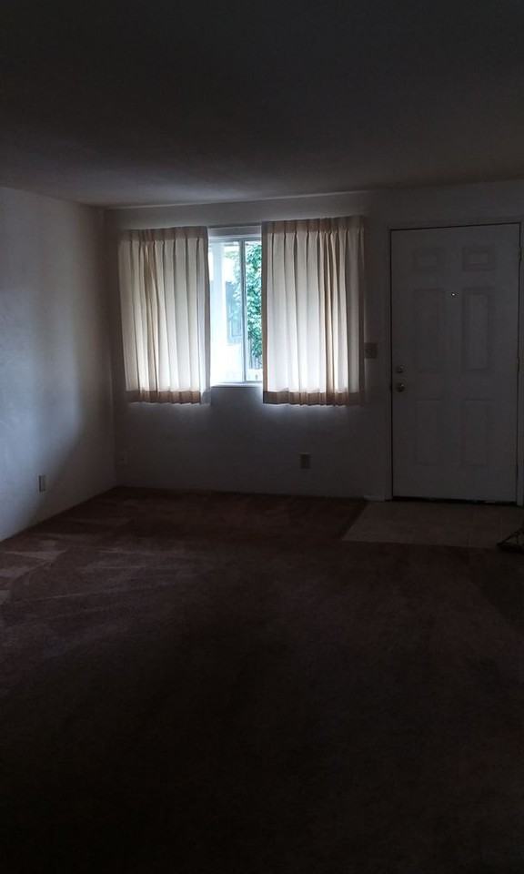 VINE03 - Photo 5 of 23