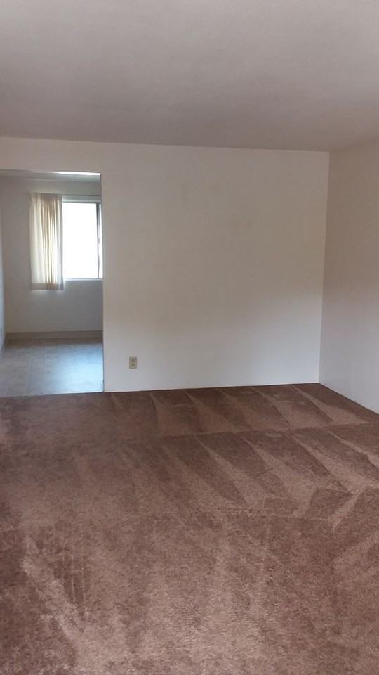 VINE03 - Photo 5 of 10