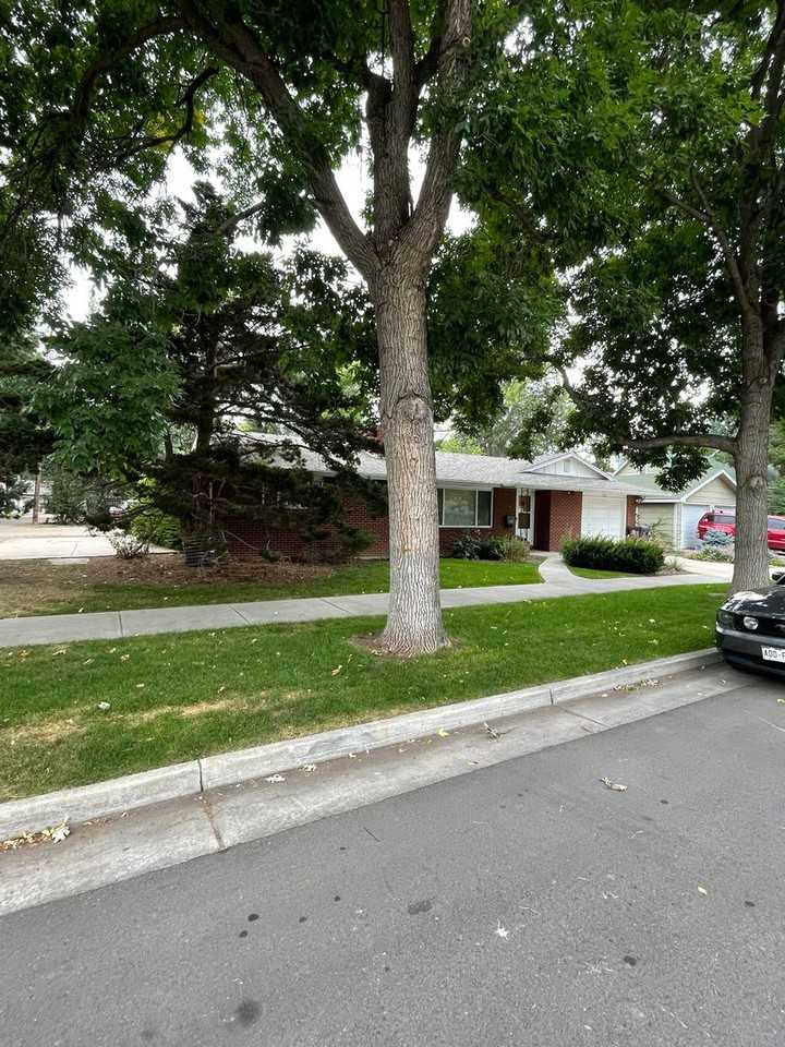 515 S Sherwood St - Photo 2 of 30