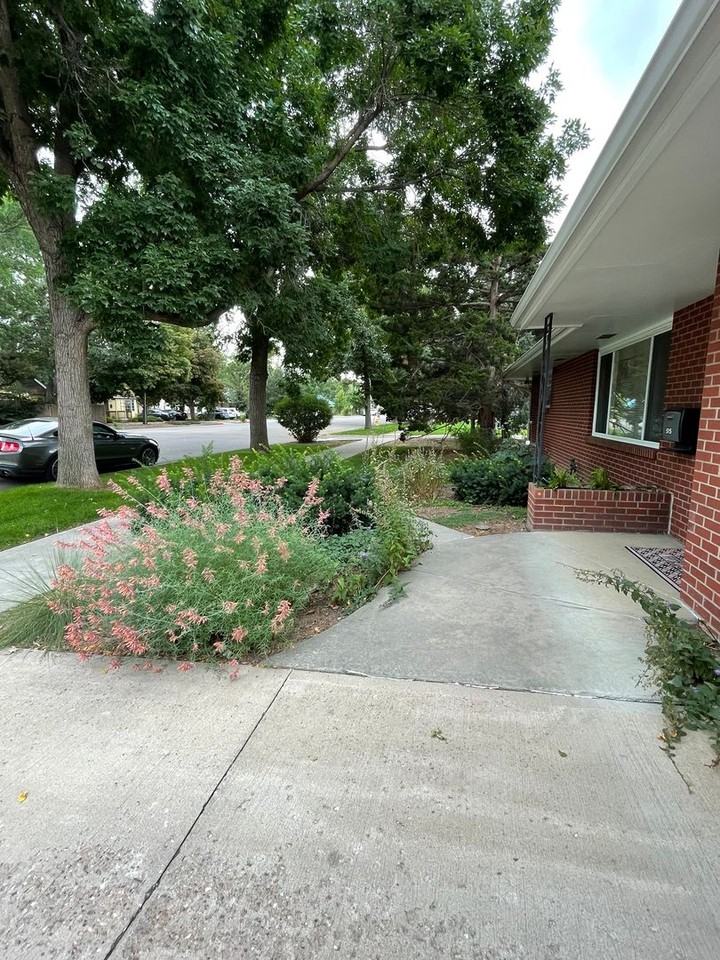 515 S Sherwood St - Photo 3 of 30