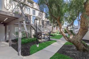 featured image of 2635 Contra Costa Blvd