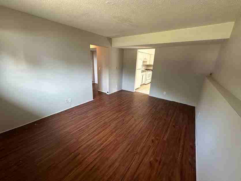2542 Selma St #2542SELMA - Photo 6 of 14