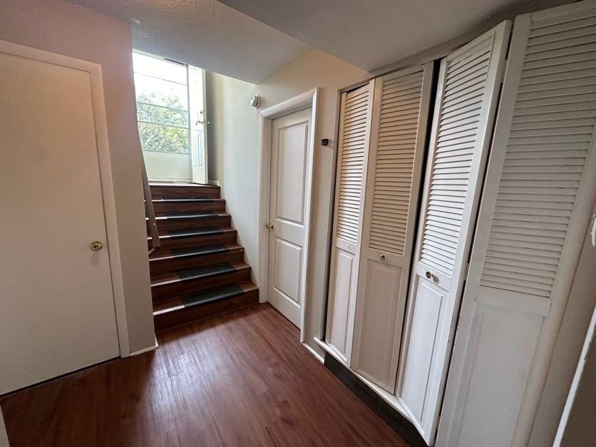 2542 Selma St #2542SELMA - Photo 7 of 14