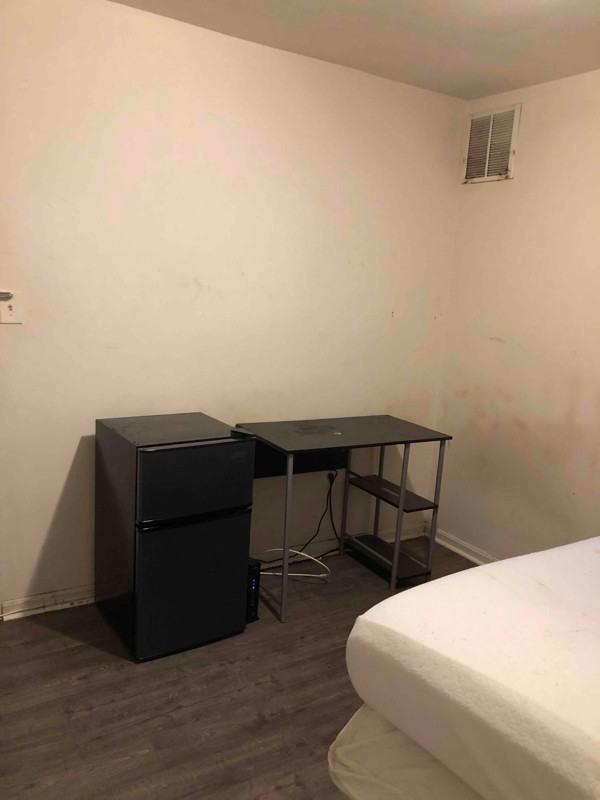 843 Hollins St - Photo 7 of 9