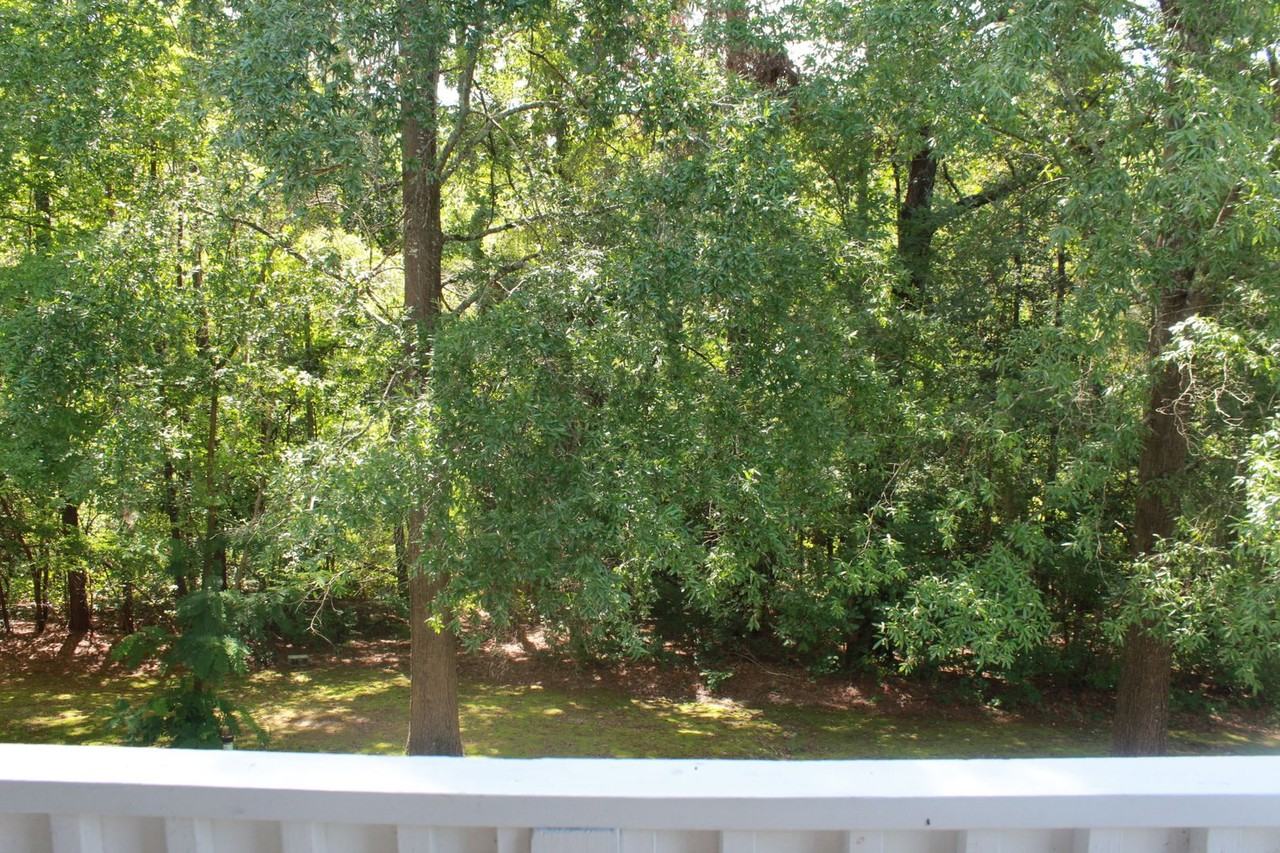 325 Waterdown Dr - Photo 4 of 32