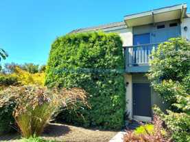 Seacliff Garden Apts. - Photo 1 of 1