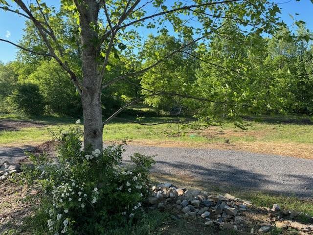 118 Ponderosa Dr #G - Photo 3 of 8