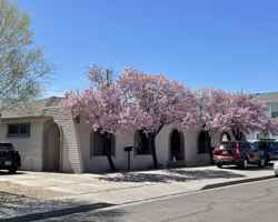 featured image of 280 Gallaway Ln #NA