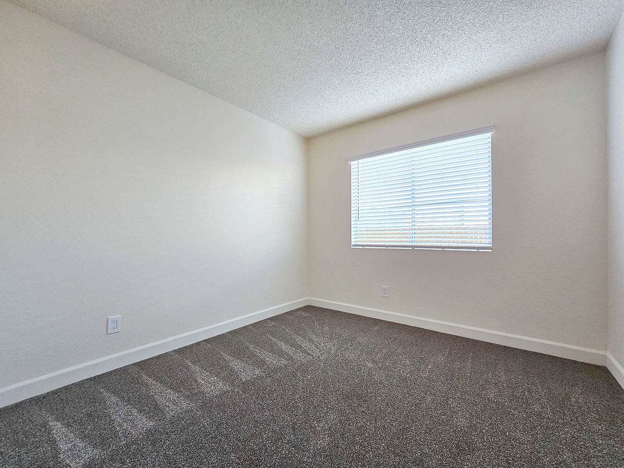 Pepper Valley - Photo 7 of 30