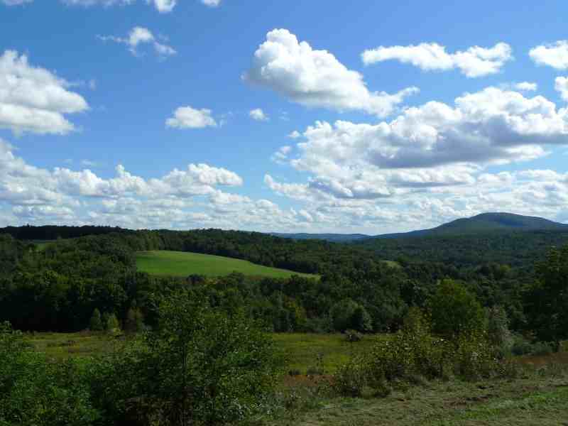 198 Sigler Rd - Photo 3 of 18