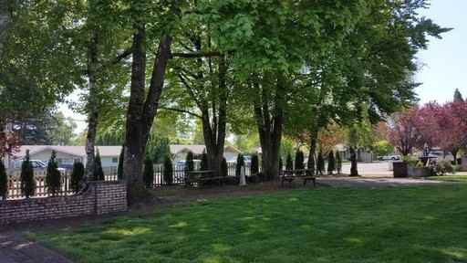 S815 - Star Apartments - Photo 3 of 14