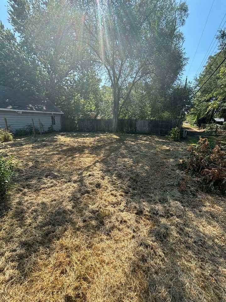 1602 Park St - Photo 6 of 8