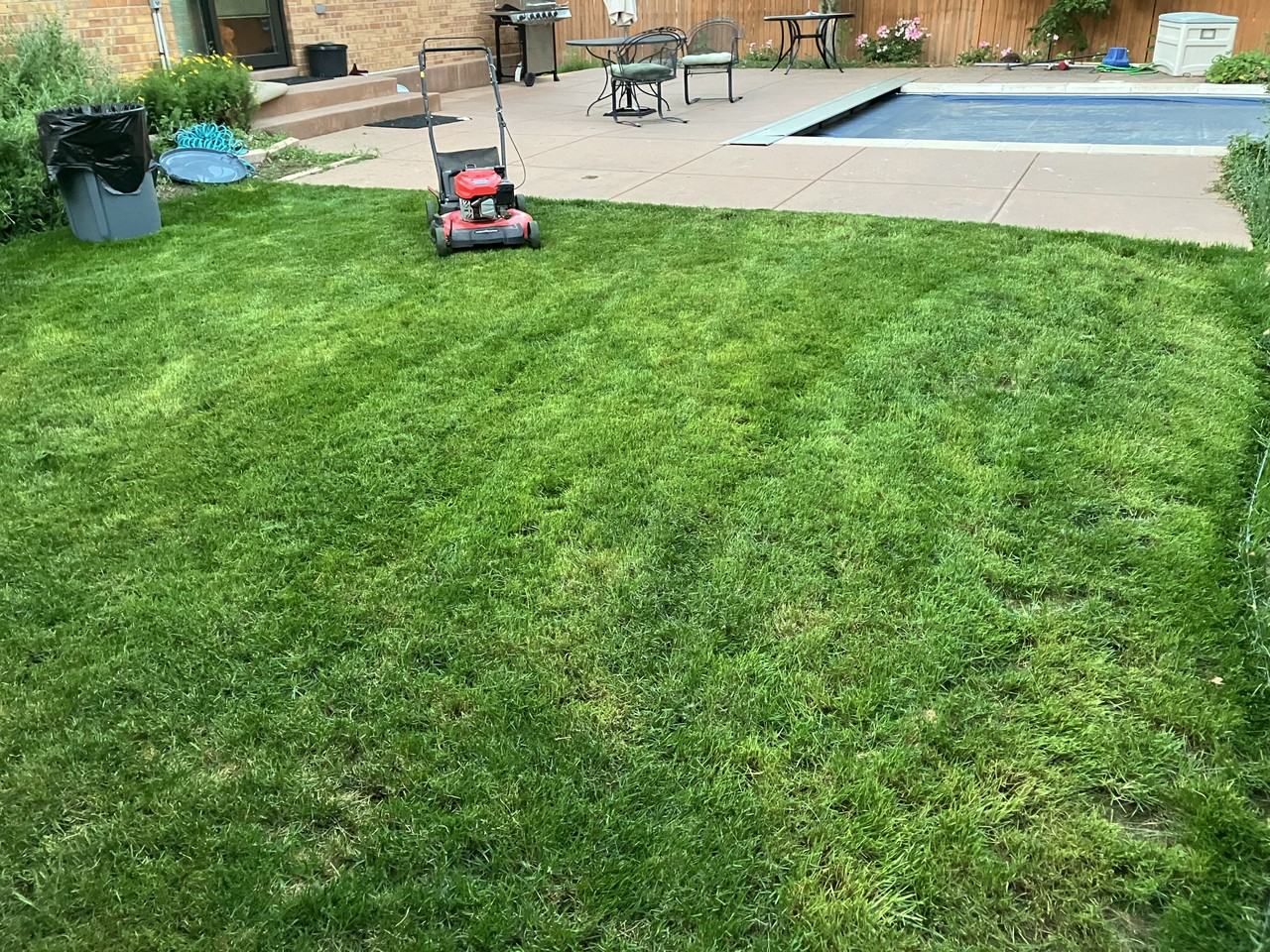 1478 S Moline St #NA - Photo 7 of 7