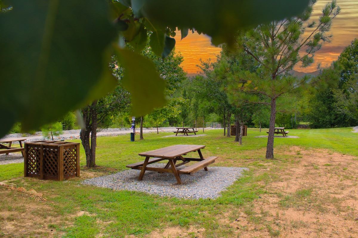 Peyton Place #403 - Photo 2 of 47