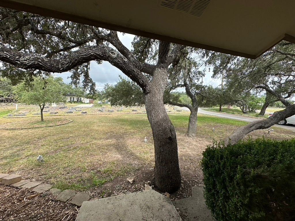 26218 Dancing Bear - Photo 2 of 9