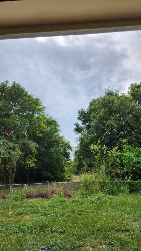 4924 Roosevelt Ave - Photo 2 of 18