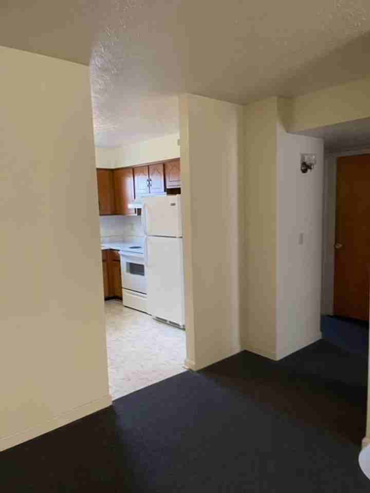 708 E. Lincoln Trail - Photo 3 of 15