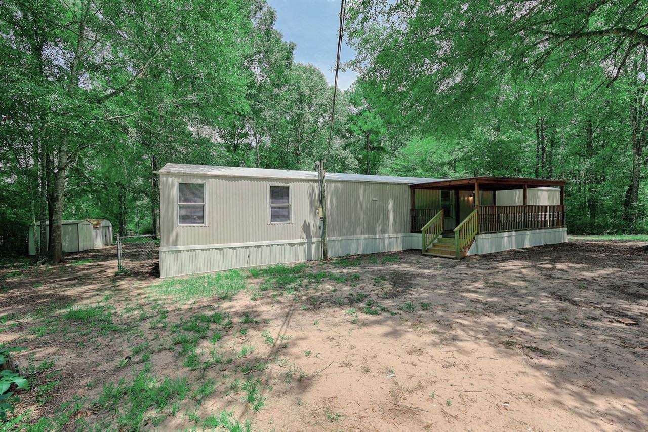 81 Virginia Creek St - Photo 3 of 24