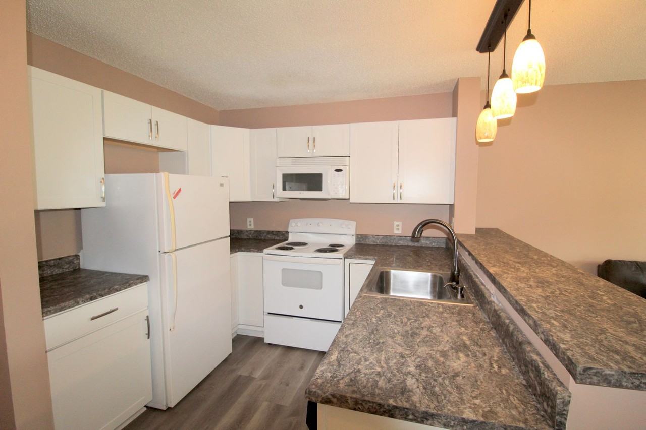 1330 Hunters Road - Photo 5 of 19