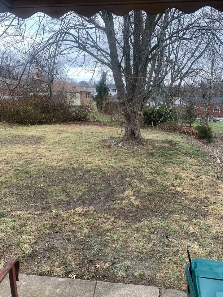 1145 Jennie Ln - Photo 7 of 32