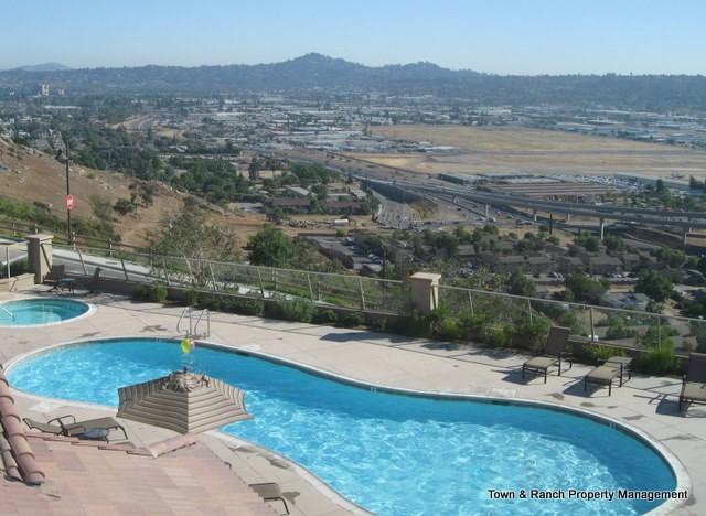 1104 Calabria St - Photo 2 of 12