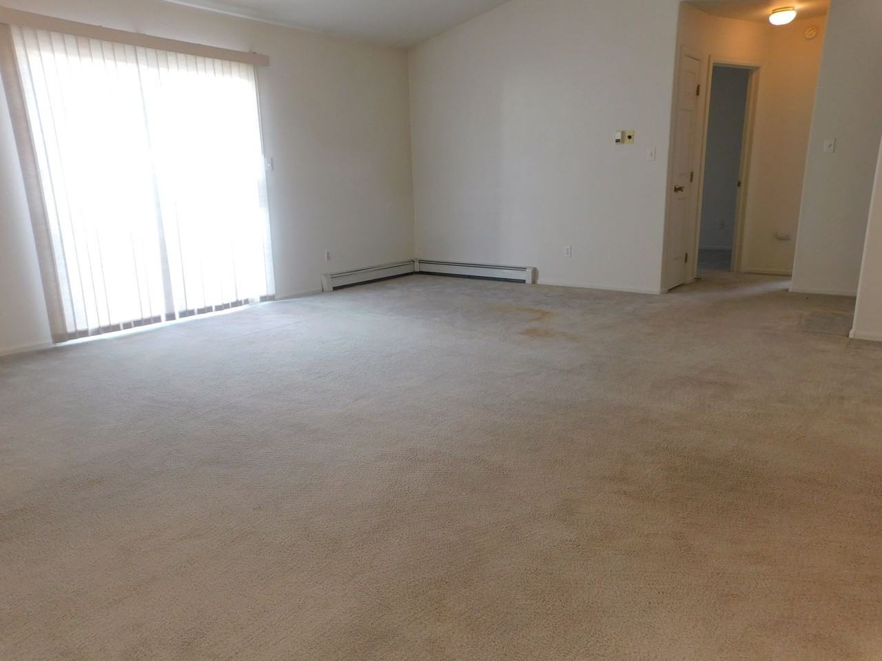 380 Dry Fork Way - Photo 3 of 17