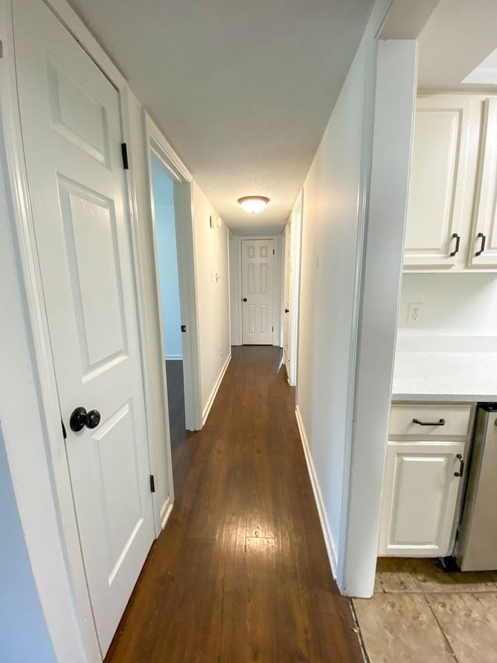 3814 Selden Cv - Photo 3 of 21