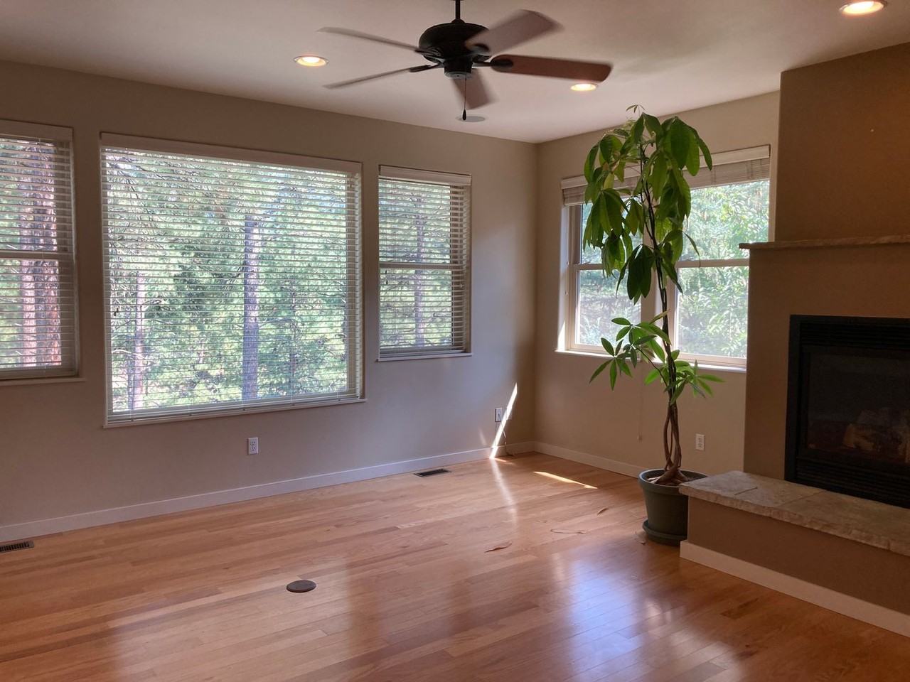 106 Clear Creek Loop - Photo 3 of 35