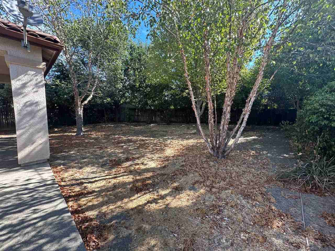 4333 Reveil Ln - Photo 6 of 32