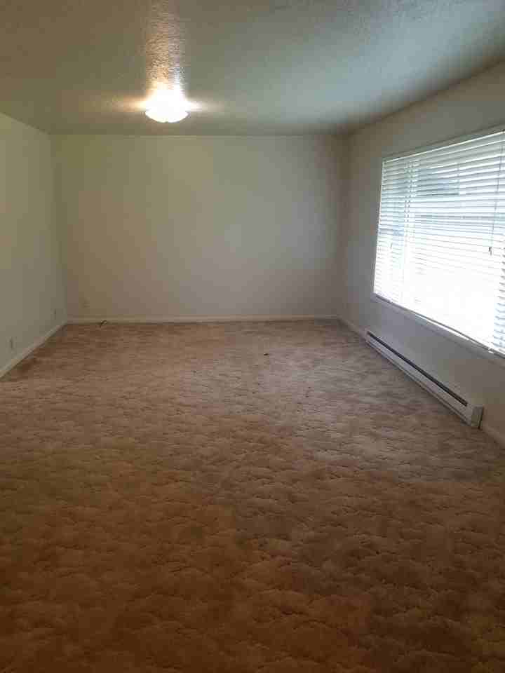 385 E Walnut St - Photo 3 of 21