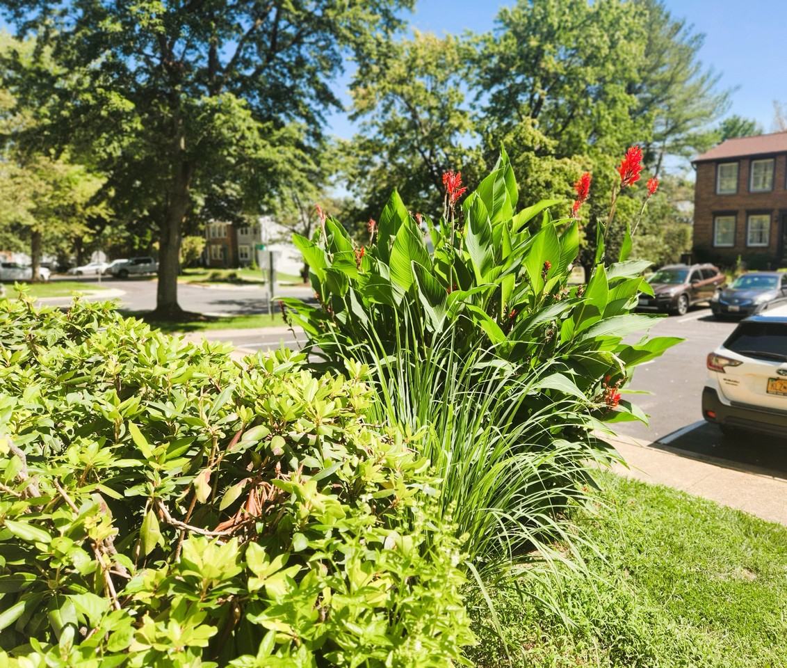 1203 Elm Grove Cir - Photo 2 of 22