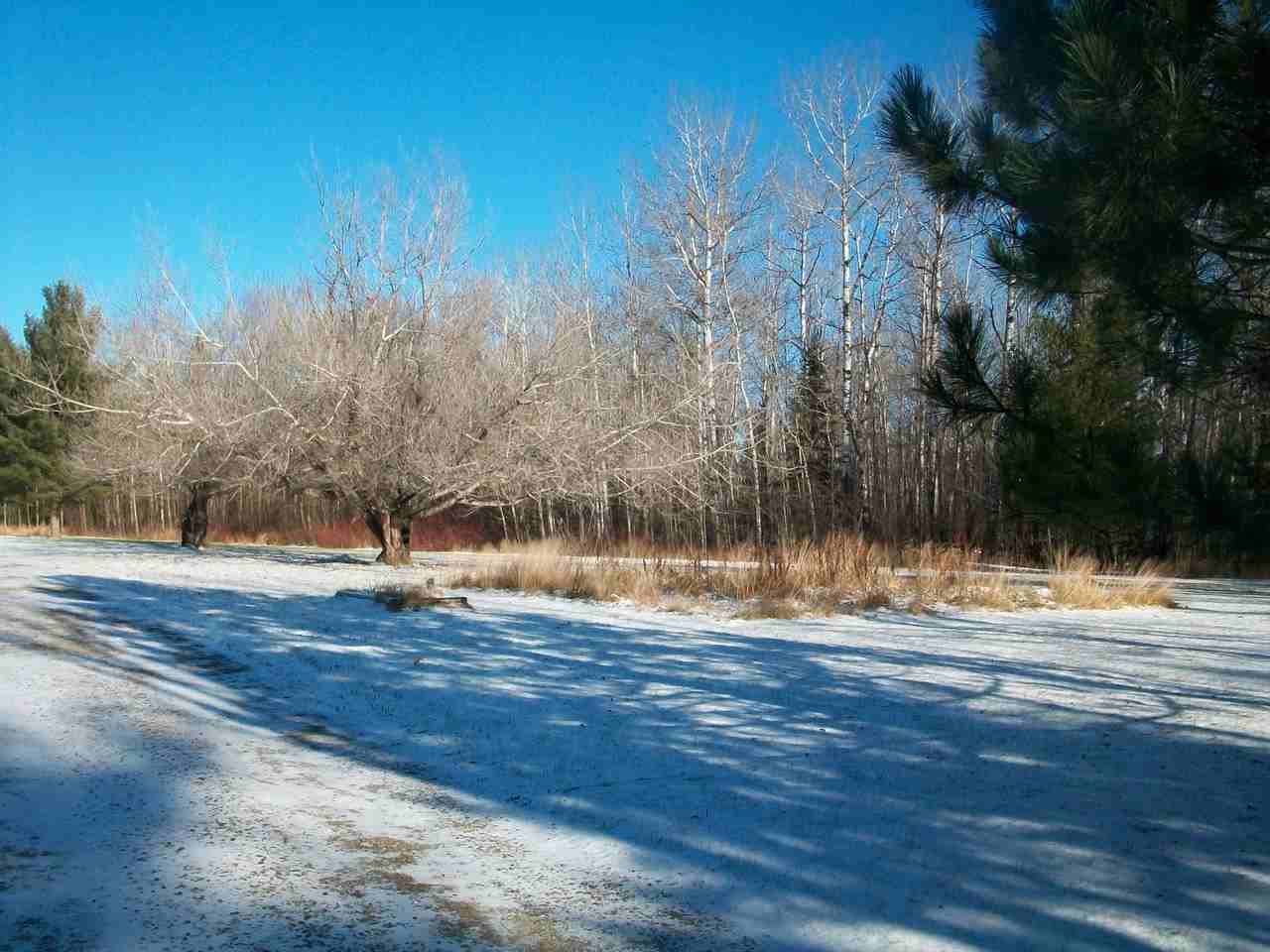 451 Trout Lake Rd - Photo 2 of 5