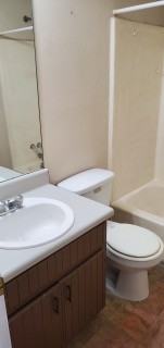 8526 Pineland Dr Apt A #NA - Photo 3 of 13
