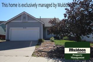 5335 Arroyo St - Photo 1 of 1