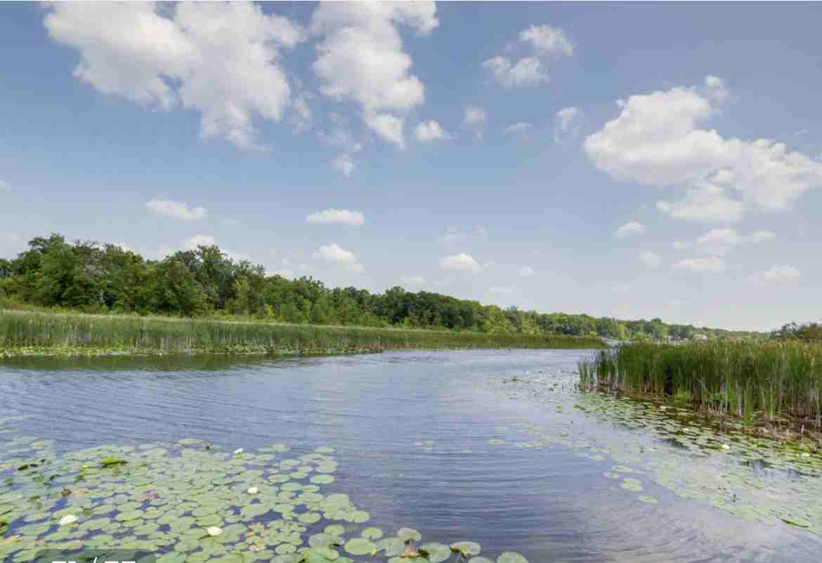 9145 Olcott Lake Dr #4 - Photo 2 of 22