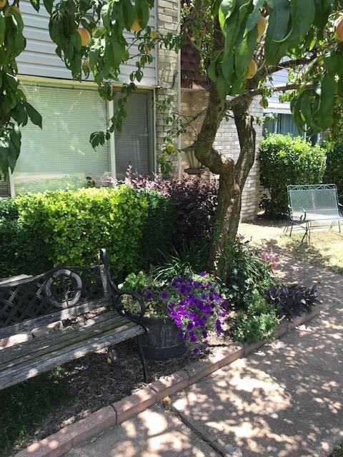 220 Justin Dr - Photo 3 of 14