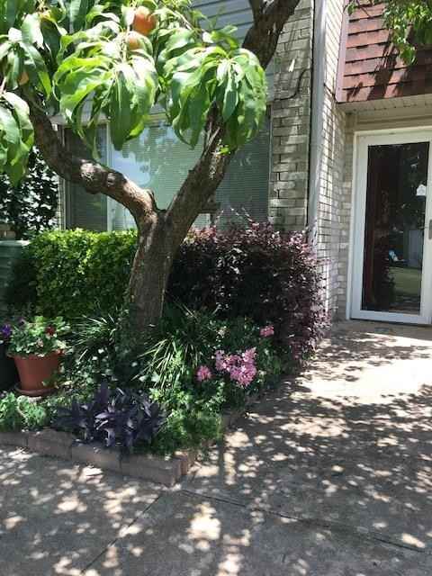 220 Justin Dr - Photo 4 of 14