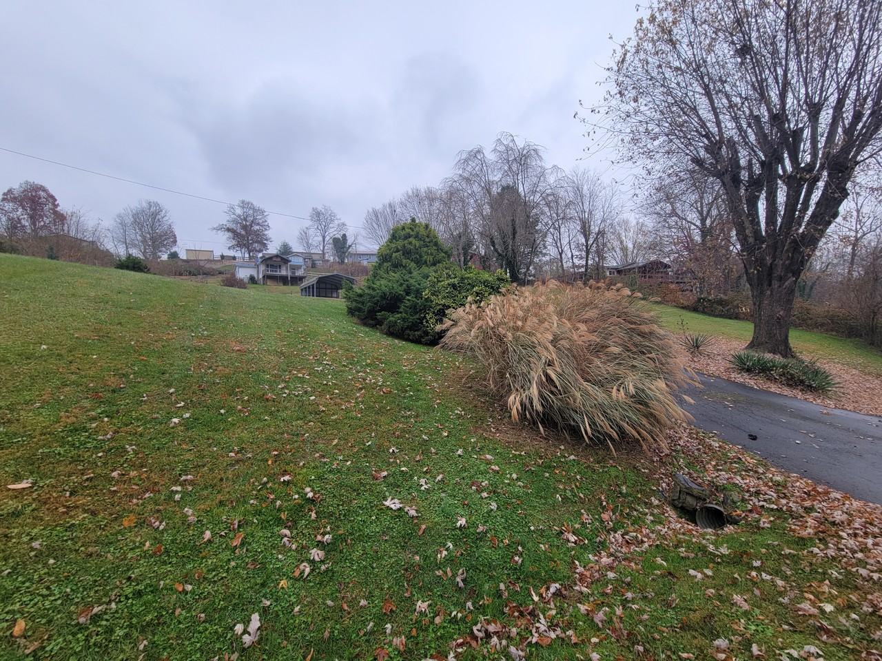 204 Kudzu Loop #NA - Photo 3 of 16