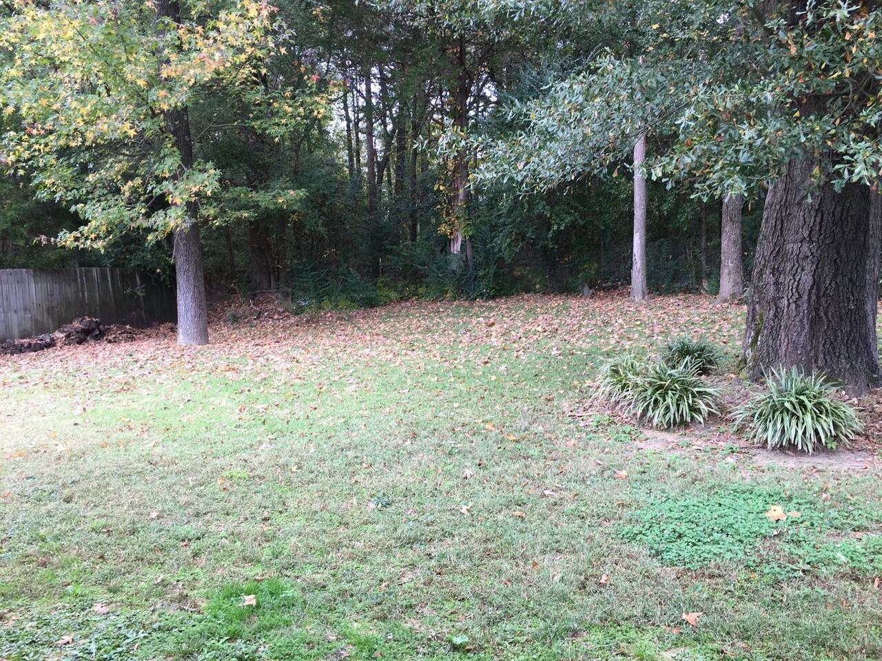 5348 Hidden Meadows Dr - Photo 2 of 28