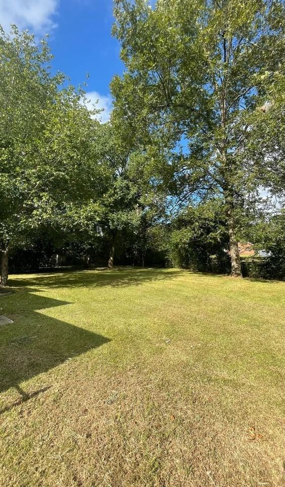 3465 Dundale Rd - Photo 5 of 23