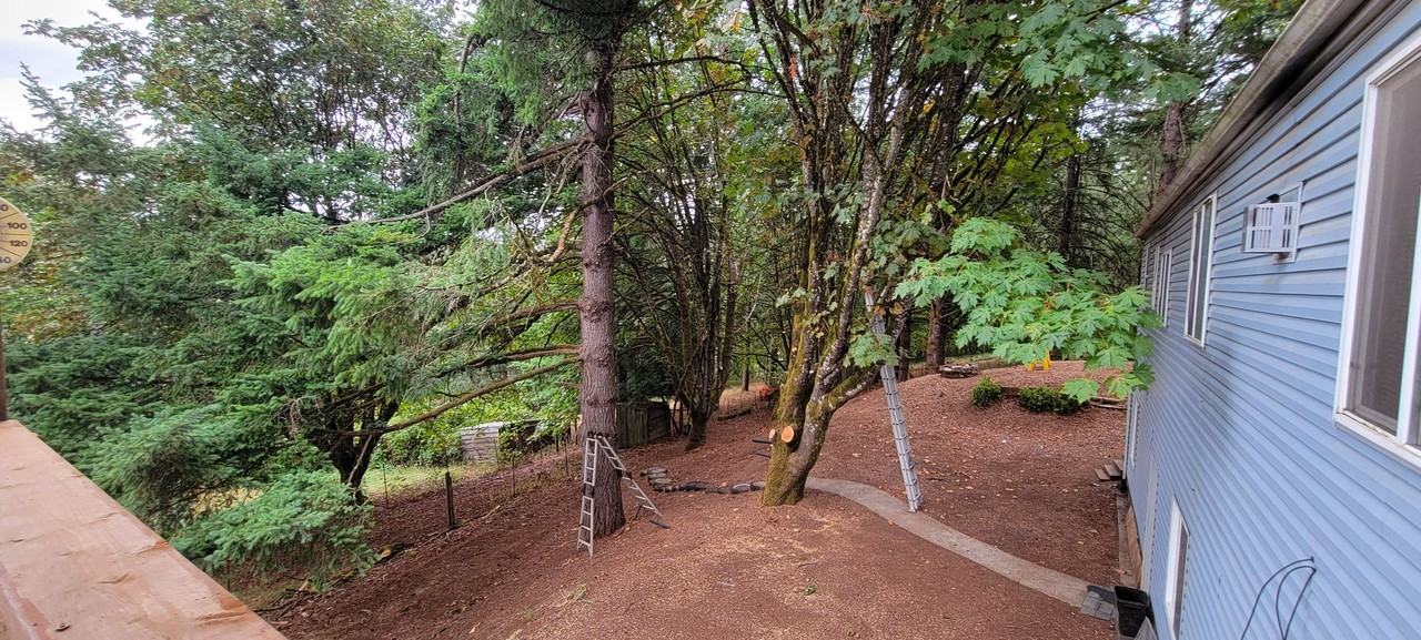 16630 Se Woodland Heights Rd - Photo 3 of 26